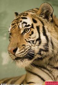 Tätowierungsshowbild, damit Tätowierungsliebhaber ein schönes Tigerkopftätowierungsbild teilen