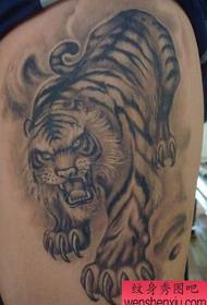 Wzór tatuażu tygrysiego: Wzór tatuażu nóg tygrysa