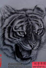 a A cute tiger tiger head tattoo pattern
