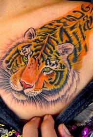 pečių tigro tatuiruotės modelis