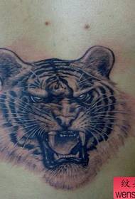un model de tatuaj de cap de tigru cu un talon de amenințare la piept 129555-în talie de frumusețe arată un model de tatuaj de tigru cu aspect bun