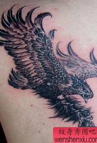 老鹰纹身图案:一幅肩部雄鹰展翅纹身图案