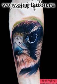 машка рака класика Стилски шема на тетоважа со орел