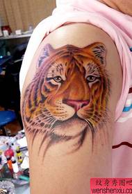 Patrón de tatuaje Cabeza de tigre Patrón de tatuaje Multi-imagen seleccionada