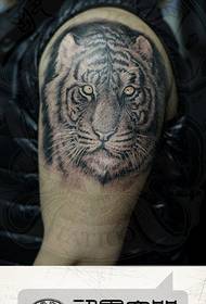 male arm handsome dull tiger tattoo pattern