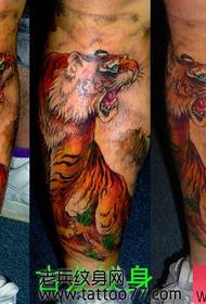 disegno del tatuaggio tigre colore prepotente gamba