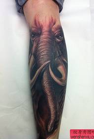小腿上一幅大象纹身图案