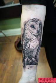 mengesyorkan gambar tatu burung hantu di lengannya