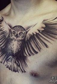 male front chest cool classic black and white owl tattoo pattern