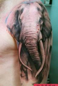 realis elephantus magnus super brachium eius et stigmata