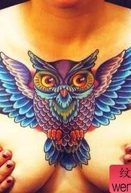 flickas bröst vackra coola uggla tatuering mönster