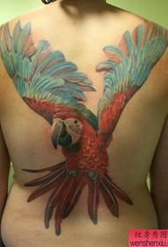 javasoljon egy teljes hátsó papagáj-tetoválás képet