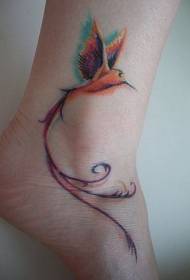 ပျံသန်းသောငှက် tatoo ပုံစံလှပသောအမွေးငှက်ကိုတက်တူးထိုးတိရိစ္ဆာန် hummingbird ခြယ် tatoo ပုံစံ