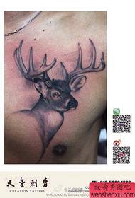 Pre-thoracic classic classic elk tattoo pattern