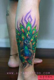 leg beautiful color peacock tattoo pattern