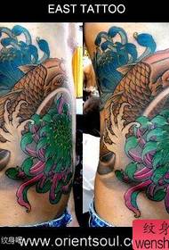 vyrų pilvas gražus ir gražus silkės chrizantemos tatuiruotės modelis