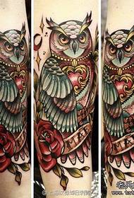 leoto le tsebahalang la tattoo ea owl e pholileng hantle