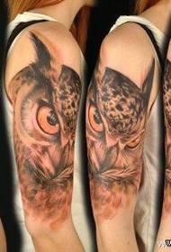 brazo clásico patrón de tatuaje de búho guapo