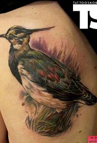 a beautiful bird tattoo pattern on the back