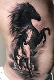 una varietà di disegni di tatuini di cavallu animali