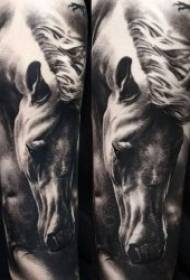 model tatuazhi kalë 10 model i kuq kafshësh gri ose tatuazh i pikturuar kafshë