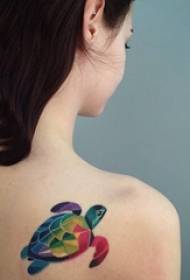 bruņurupuča tetovējuma modeļa šķirne Krāsu gradienta tetovējuma skice bruņurupuča tetovējuma modelis