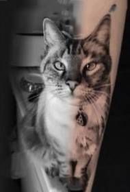 foto realiste e një grupi të tatuazheve të maceve dhe qenve të tatuazheve të qenve
