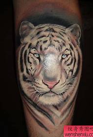 a white tiger tattoo pattern on the calf