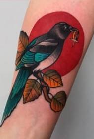 Straka tetovanie works_10 vtáčie straka tetovanie vzory tetovanie obrázky