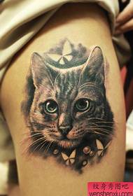 Черно-серый кот с татуировкой на ноге девушки