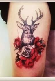 wzór tatuażu płowy ładny potulny wzór tatuażu jelenia