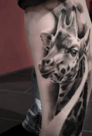 Modello tatuaggio giraffa modello carino tatuaggio giraffa carino
