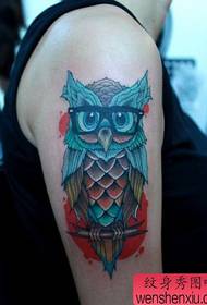 girl arm European style Owl tattoo pattern