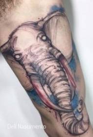 Шаблони татуювань на тваринах 10 різних видів малюнка татуювання на тваринах