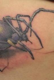 realistinen realistinen musta hämähäkki tatuointi malli