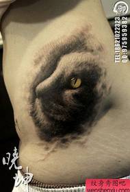 女生腰部唯美流行的猫咪纹身图案