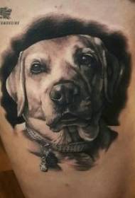 patrón de tatuaxe de can 10 patrón de tatuaxe de can intelixente e lindo