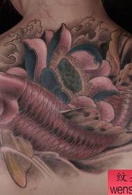 beautiful color beautiful squid lotus tattoo pattern on the back
