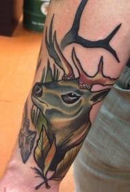 Baile állat tetoválás élénk Baile állat tetoválás minta