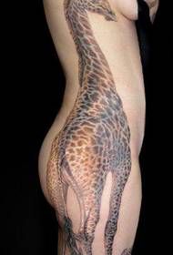 beauty side waist a giraffe tattoo pattern