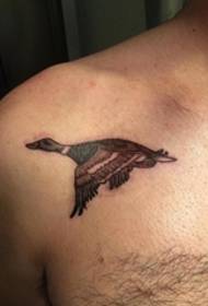 male shoulder black gray duck tattoo animal pictures