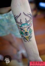 女生手臂流行好看的小鹿纹身图案
