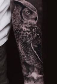 Owl verbonne mat enger Rei vu 9 schwaarzen Äschen Tattoo Designs