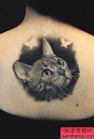 girls back black Gray sketch cat tattoo pattern