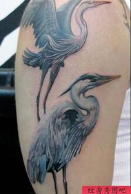 a A red-crowned crane tattoo pattern