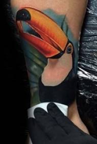 many painted watercolor sketch creative classic toucan animal tattoo pattern