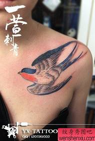 女孩漂亮漂亮的小燕子紋身圖案在胸前