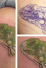 a set of colored lizard tattoos