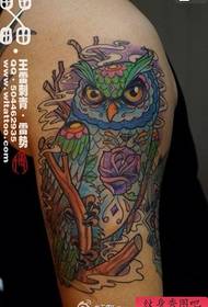 a beautiful owl tattoo pattern
