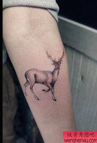 arm sika deer tattoo pattern